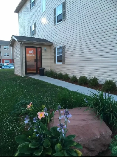 Ground floor 2br unit with In-suite washer dryer for Sep 1st Image# 2