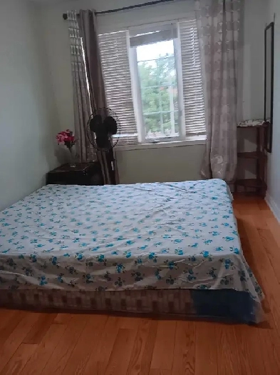 Room for Rent Image# 2