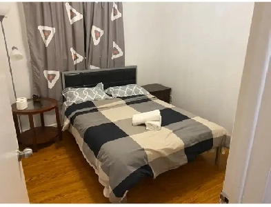 first floor room and basement room for rent Image# 8