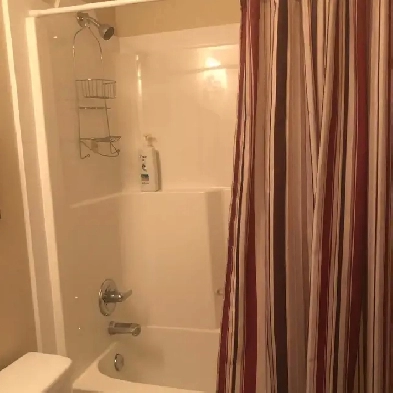 room for rent Image# 4