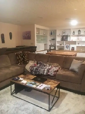 Large one bedroom basement suite   Den Image# 6
