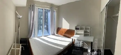 Roommate Needed DT Toronto Image# 4