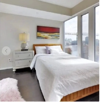 Roommate Needed (MS BR) DT Toronto Image# 1