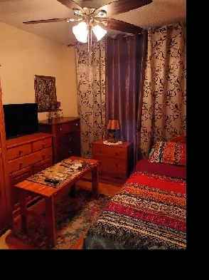 Nice,clean room-Etobicoke(West Mall and Bloor) Image# 3