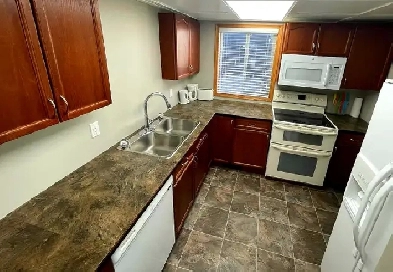 Pet Friendly, Utilities & Internet Included, 3 levels, 3 Bdrms Image# 3