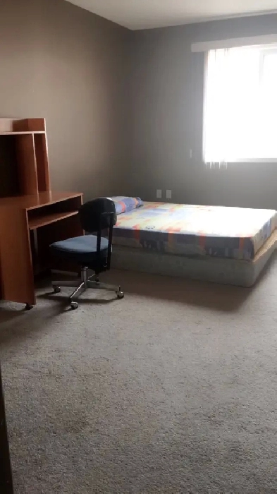 Room for rent Image# 2