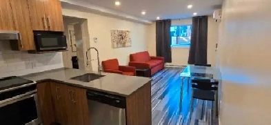 Appartement 3,5 one bedroom apartment Metro Pie IX Image# 4
