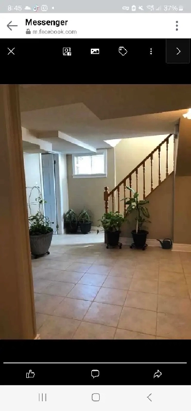 Basement Room for Rent in Malton Image# 8