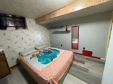 Room for Rent in Basement Image# 7