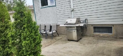 2 BEDROOM BASEMENT SUITE IN BEAUTIFUL SOUTHSIDE PLEASANTVIEW Image# 3