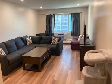3 ½ Apt Sublet (Hydro Included) Steps from Guy-Concordia Image# 5