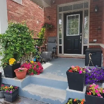 Semi detached 3 2 bedroom house for rent Image# 1