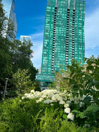 Shared Accommodation Image# 1