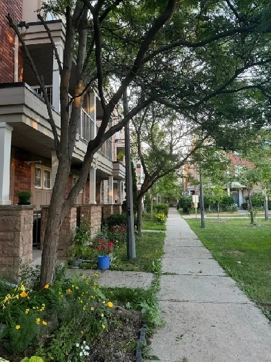 3 BR Condo Row House at Yourk University Village Image# 8