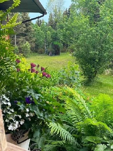 Room on acreage for rent Image# 3