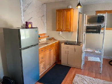 Beautiful Private Bachelor Apt in East Hamilton Image# 1
