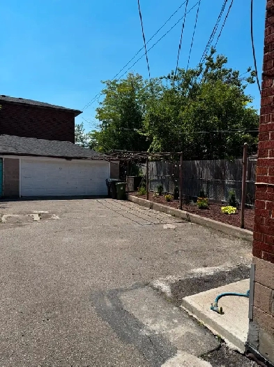 Bright renovated 1 Bedroom Basement $1,800 includes utilities Image# 1