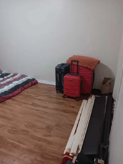 1 bedroom Image# 1
