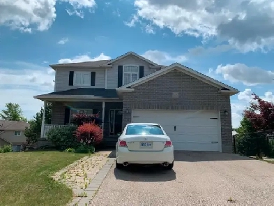 1 Bed & 1 Bath walk out basement with separate entrance for rent Image# 4