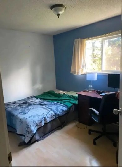 A Private room for rent in Whitehorn , Calgary for $525 Image# 1