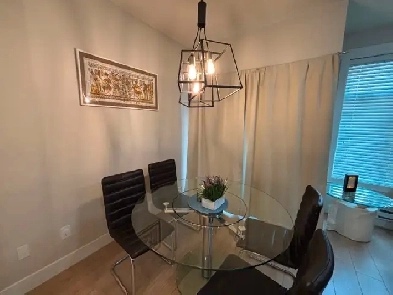 Furnished  Modern 3 bed 3 bath with 2 prkg in 6 yr old townhome Image# 9