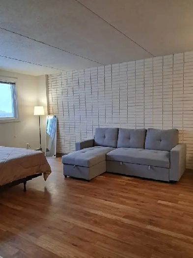 1 Bed 1 Bath Apartment for Rent on Pembina Highway Image# 4