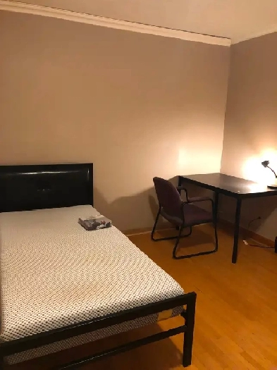 Main Floor Furnished Room for Rent at Bellamy Rd n Lawrence Ave Image# 1