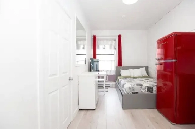 Furnished Studio Downtown Image# 8
