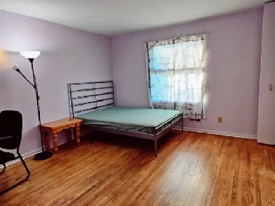Master bedroom close to Carleton/Algonquin Sept 1st Image# 6