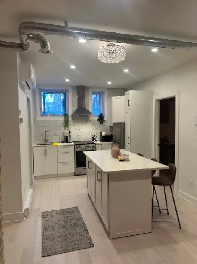 4.5 rénove et meuble prêt de McGill Image# 4