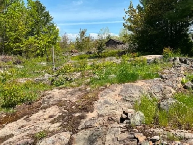 Vacant lot for sale (Blind River) Image# 1