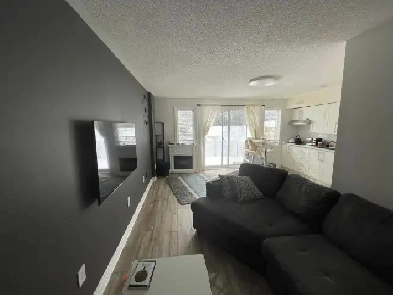 Basement Apartment for rent Image# 2