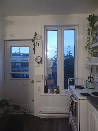 Appartement à louer Image# 5