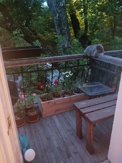 Appartement à louer Image# 11