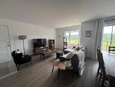 Apartement 4 -1/2 à louer Image# 5