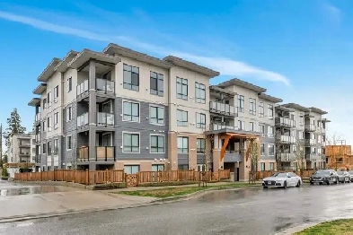 Top Floor 2BD/2BA with A/C, High Ceilings & 1 Parking Image# 9