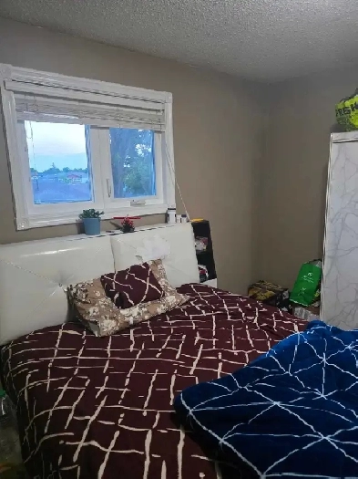 Furnished private Room for boy near Kennedy and William Image# 1