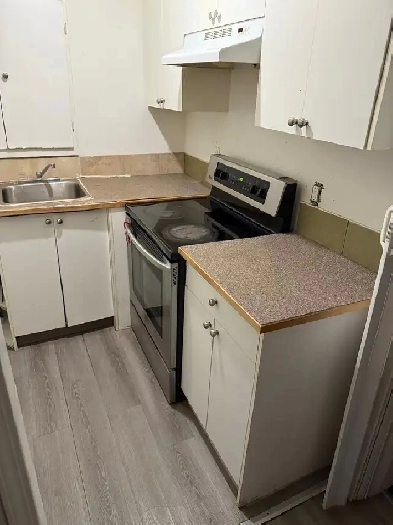 1 bedroom 1bath by level basement rent Image# 8