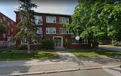Sunny Large Quiet Ground Floor 1 Bed corner unit 350 MacArthur Image# 8