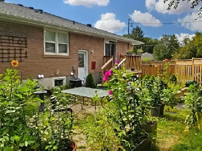 3 Bed  1 Bath House $2500 Newmarket Image# 4