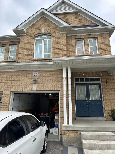 Basement Rent in Brampton  $ 1,400.00 Image# 1