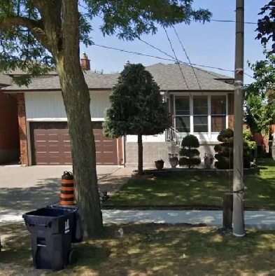 Warden&steels, 3bethroom,2bath basement full kitchen for rent Image# 4