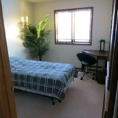 Room for Rent - Close to the U of M ! Image# 1