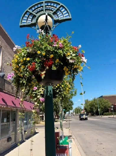 High Traffic & Great Location on 124 Street -109 Ave Image# 4
