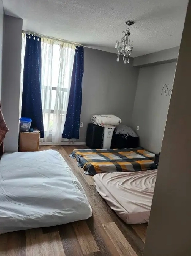 Room for rent near bramely and queen Image# 1