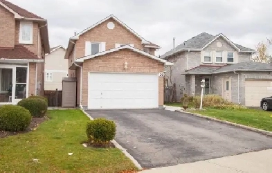 2 Bedroom 2 Car Parking Basement for Rent Image# 1