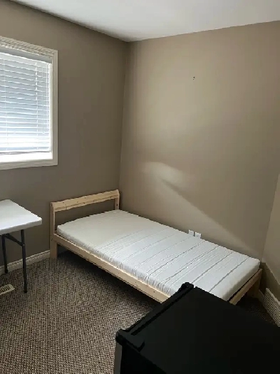 Room for rent in well kept & quiet home Image# 1