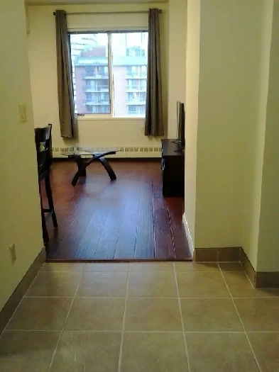 Furnished Chinatown Condo Image# 1