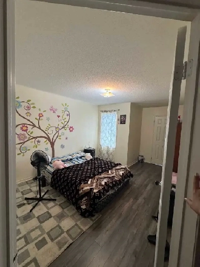 Private room for rent Image# 3