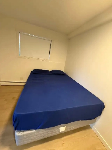 Fully Furnished 1-Bedroom Condo for Rent 16 Ave SW Calgary Image# 3
